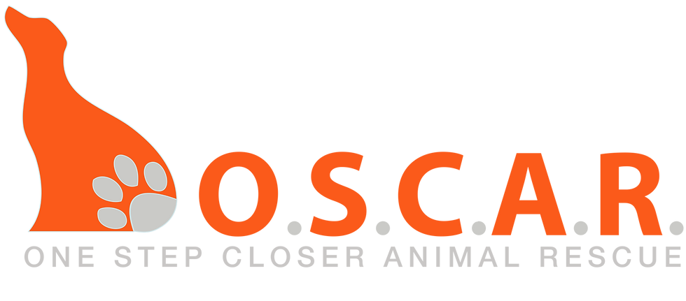 O.S.C.A.R LOGO - HIGH RES_ORANGE.png