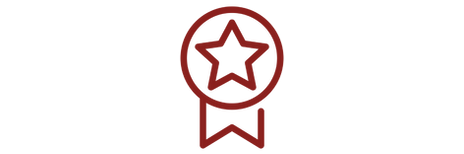 Values - Excellence.png