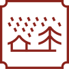 Asset 5.png