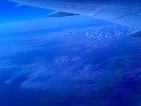 A long flight and new food!