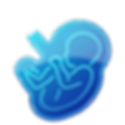 Ob Gyn: Icon of a developing fetus within a circular blue shape representing the womb.