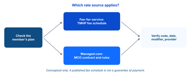 Flowchart: check member's plan, then choose fee-for-service TMHP fee schedule or managed care MCO rules; verify code, date, provider.