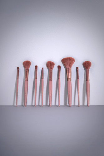 10 Piece All Over Face Makeup Brush Set w/ PU Drawstring
