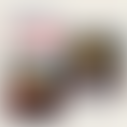 A EJRos Brasil realizou o curso de formação de Auditores Internos na empresa Brevil e da H.Bremer