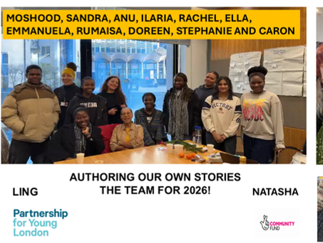 Young Leaders from Authoring Our Own Stories Deliver Their Training to Support Professionals