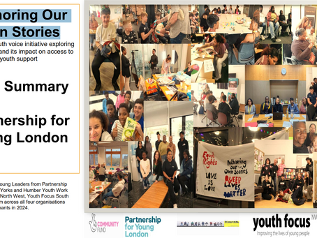 Authoring Our Own Stories - Annual Report 2024