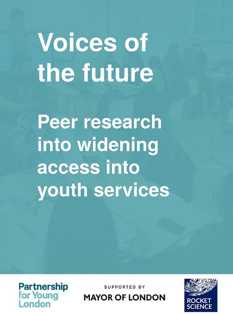 Voices of The Future: Peer research into widening access into youth ...