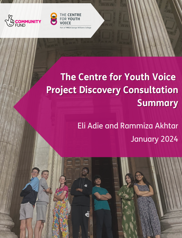 The Centre for Youth Voice: Project Discovery Consultation Summary