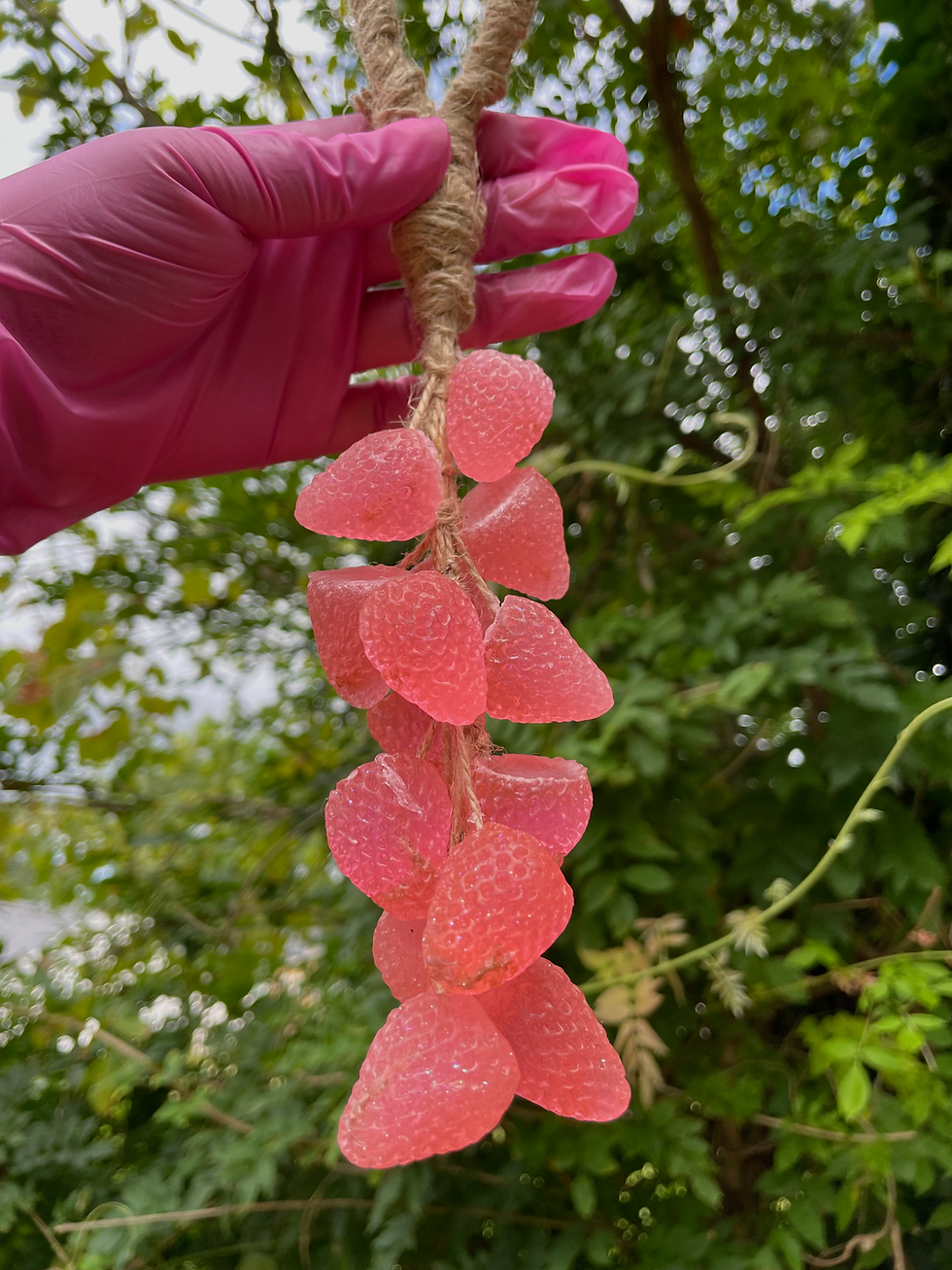 Thumbnail: Pink Berry Soap Vine