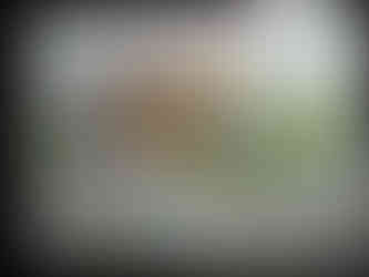 20250813_061313