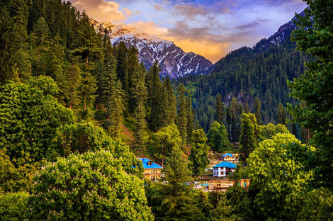 Village in Kasol