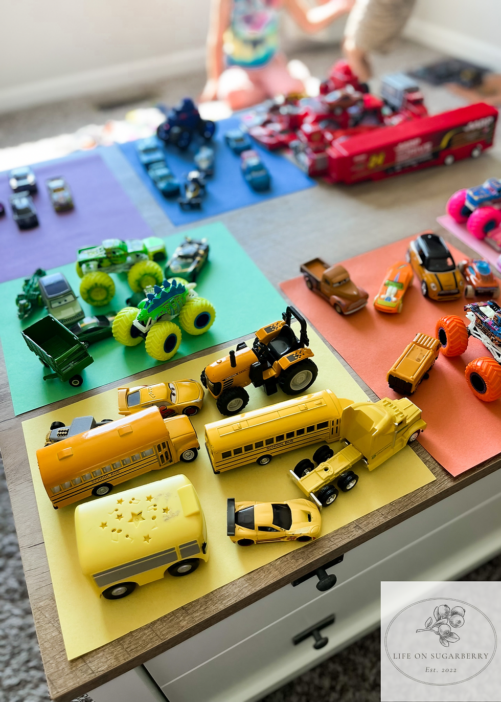 Toddler Activity Race Car Color Sort