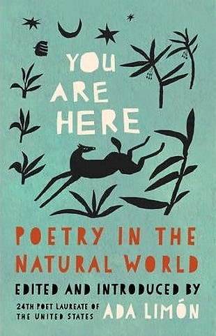 you are here poetry in the modern world