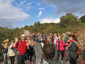 SUNDAY WALKS with Frank