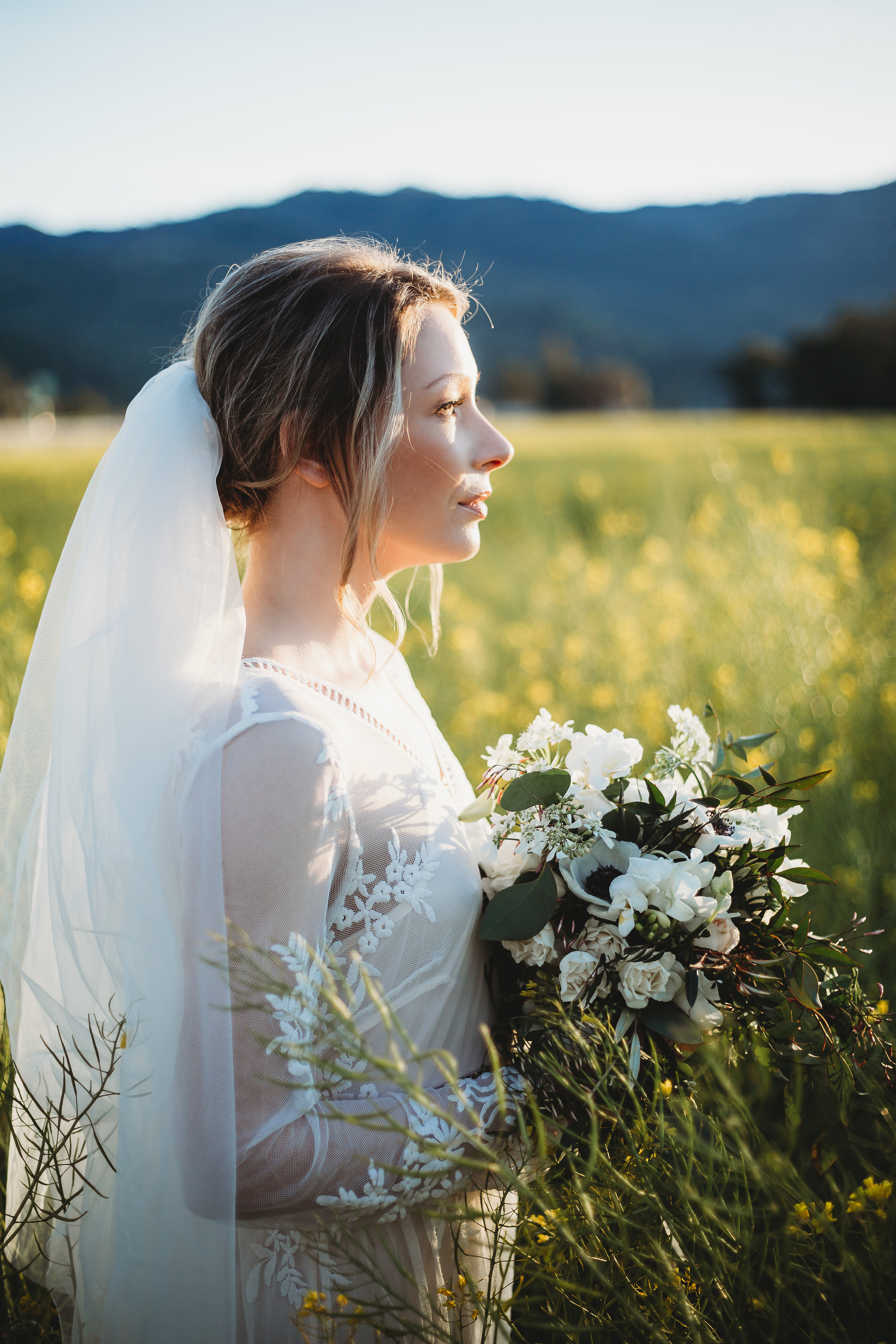 www.hannahberglundphotography.com