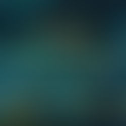 John's Travel Update December 2, 2022