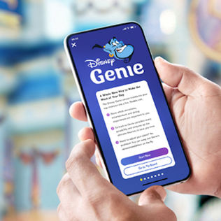 Understanding "Disney Genie"