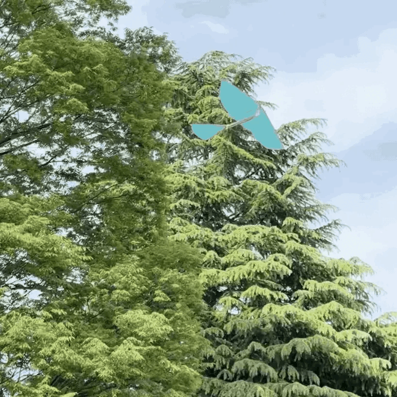 HOZUBAG - PATAPATA GLIDER