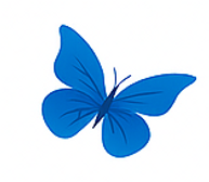 Artistic illustration of a blue butterfly with symmetrical wings, featuring dark veined patterns on a blue and white background