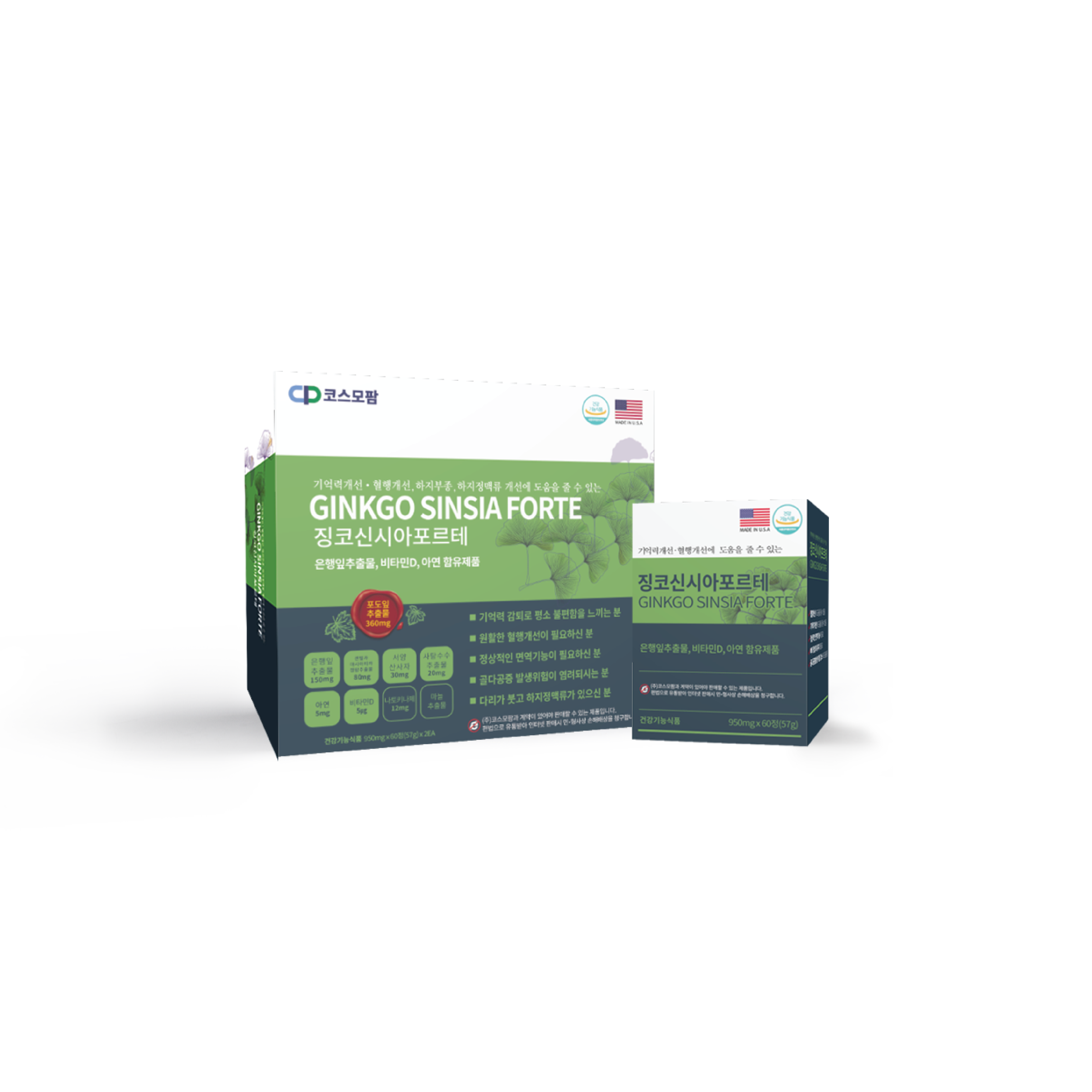 징코 신시아 포르테