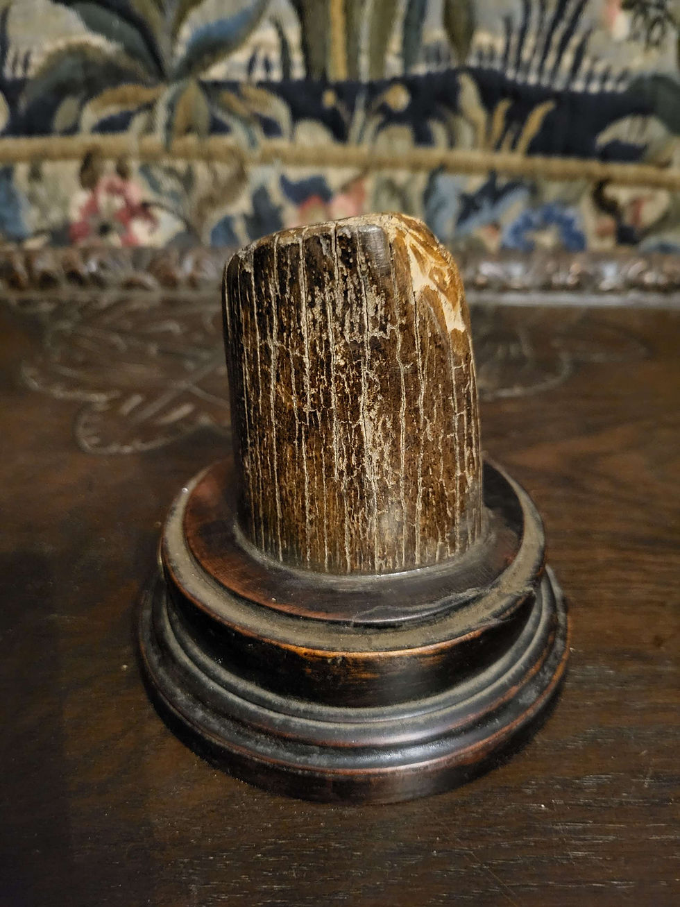 Thumbnail: Woolly Mammoth tusk curio