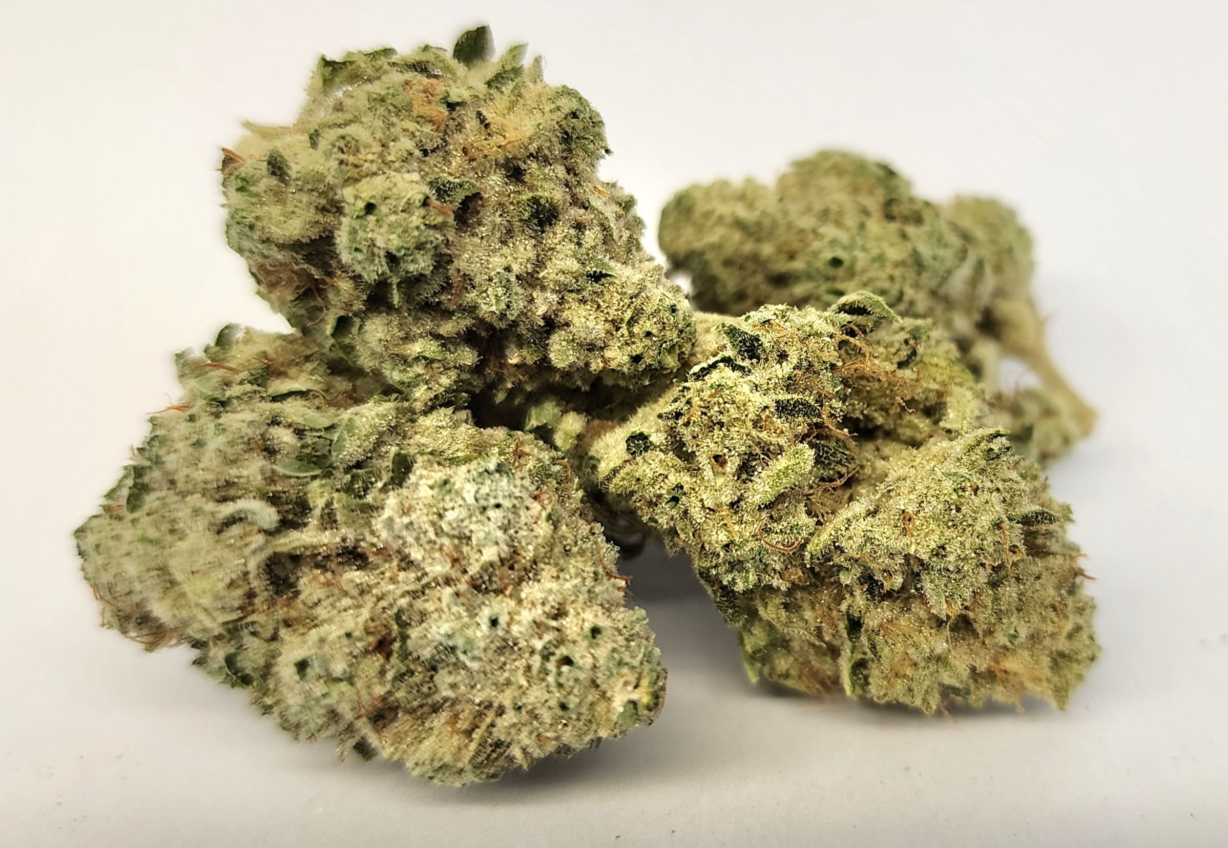 Titty Sprinkles - AAA+ 14g