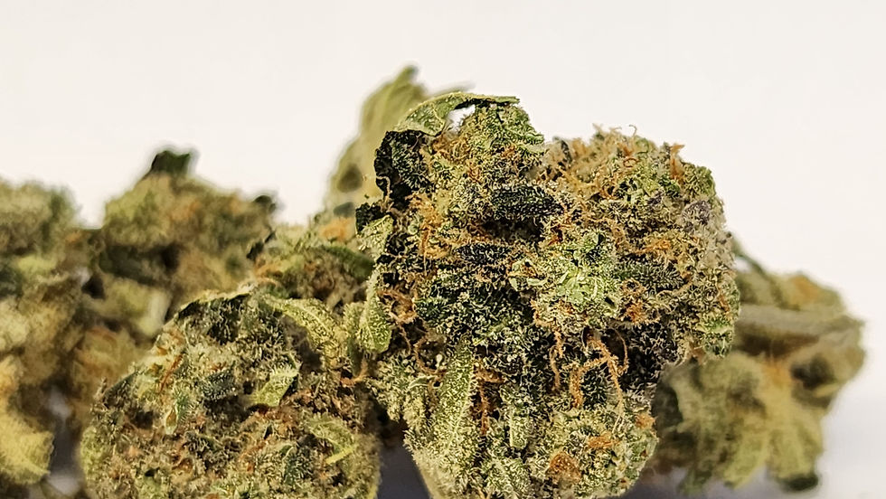 Thumbnail: Blueberry Punch - AAA+ 14g