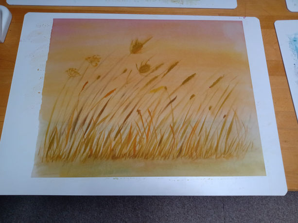 An image of the final product from The Oast Studio beginners watercolour class. A painting of some swaying reeds and grasses on a gentle background wash of pinks and oranges