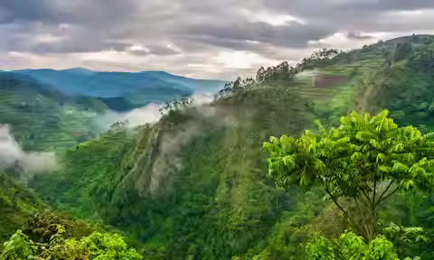 Bwindi Impenetrable National Park