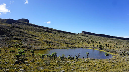 Mount Elgon national park