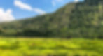 Semuliki National Park