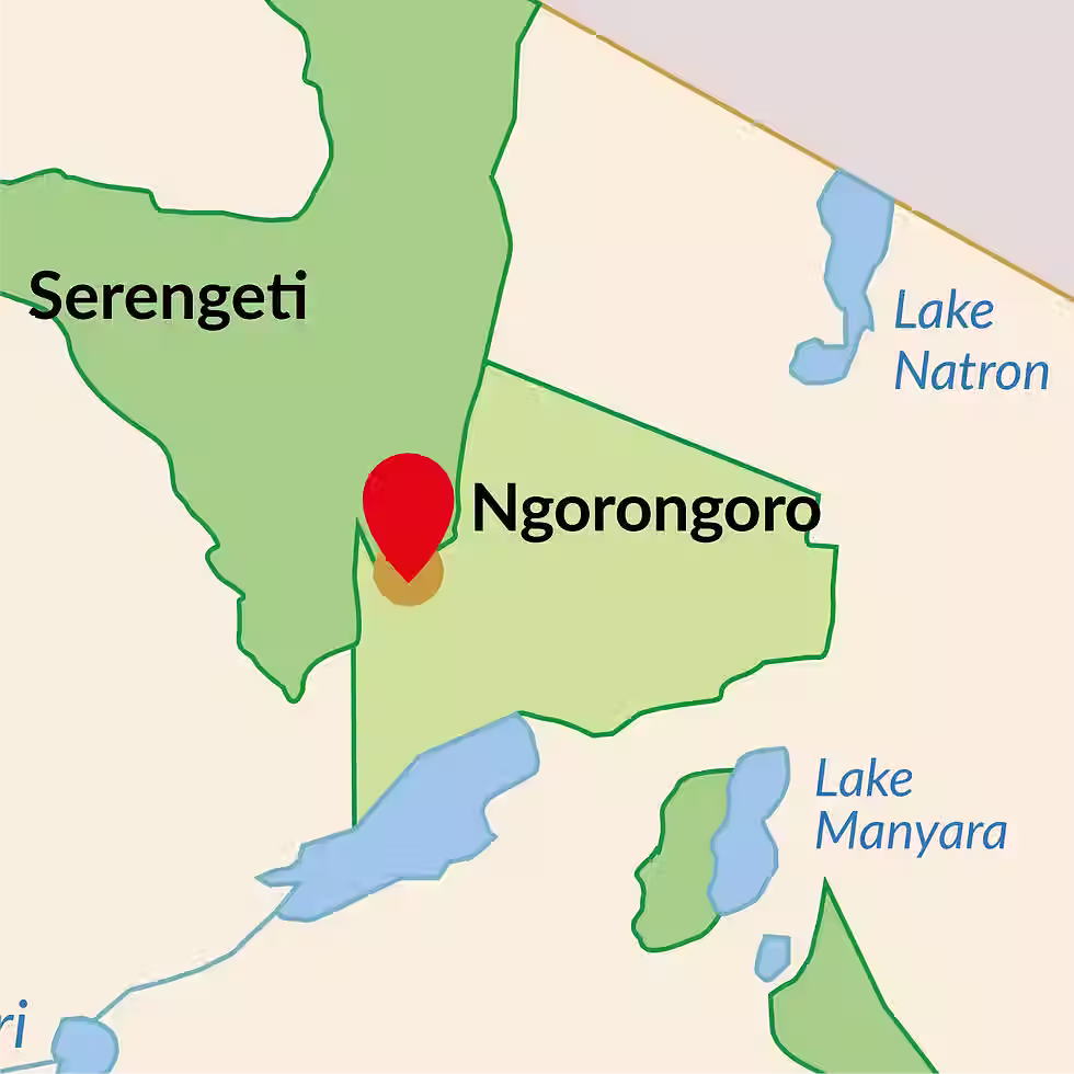 Ndutu Air strip Location