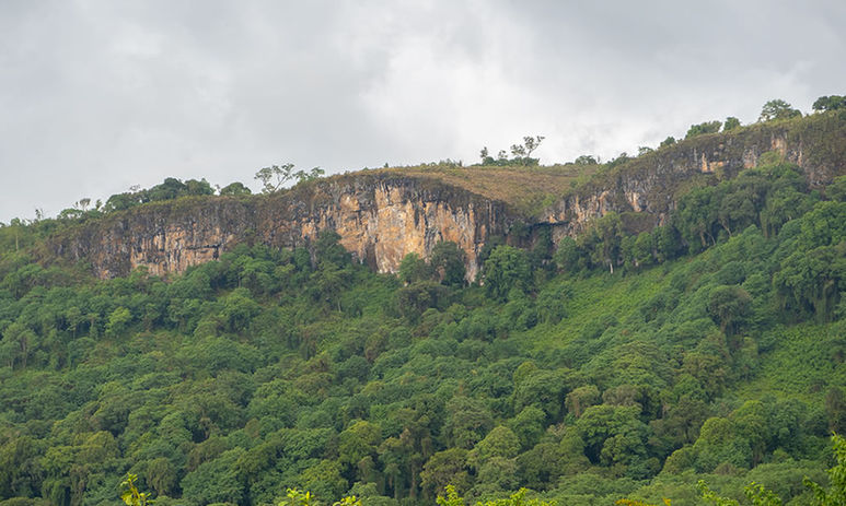 Mount Elgon national park