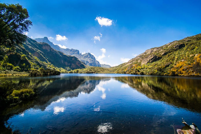 Rwenzori mountains national