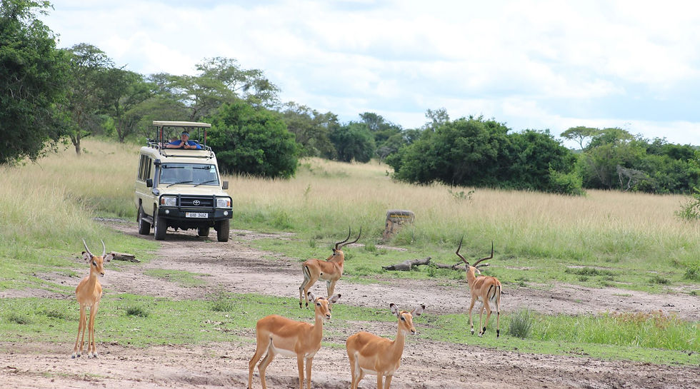 4 Day Serengeti Safari