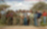 A group of tourist in a group safari with Edel Safaris