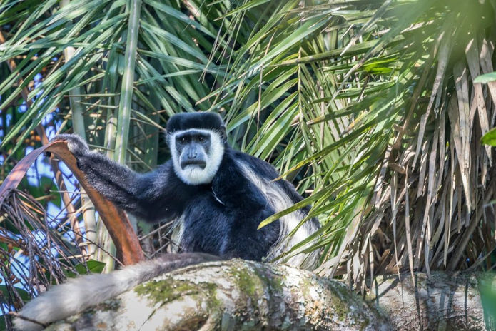kibale National Park