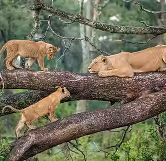 lake-Manyara-NP (1).avif