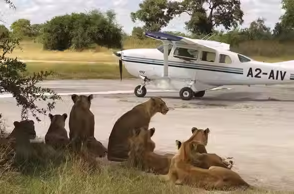Ndutu Airstrip