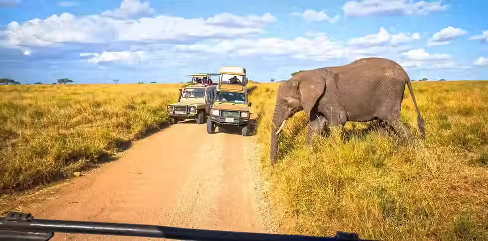 Driving vs. Flying Safari to the Serengeti