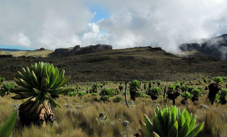 Mount Elgon national park