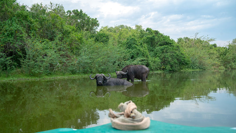 Lake Mburo boat drive