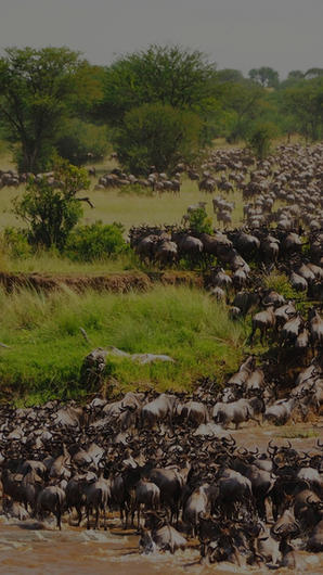 Panoramic vista of the Ngorongoro Highlands captured during an Edel Safaris scenic flight transfer.