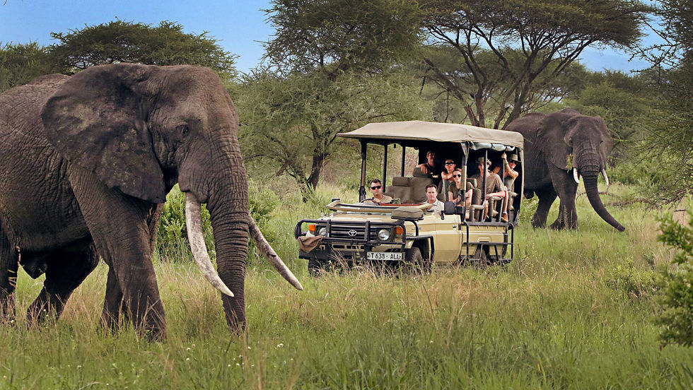 A family safari in Tanzania with Edel Safaris