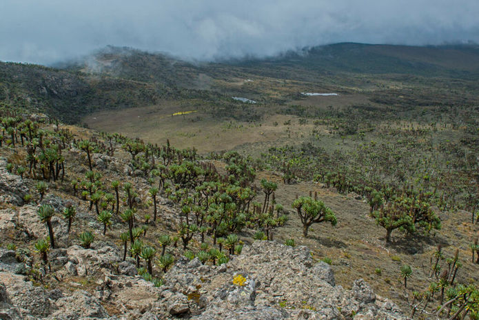Mount Elgon national park