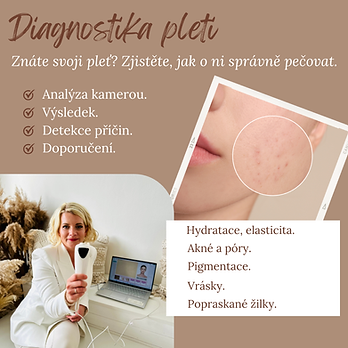 diagnostika pleti