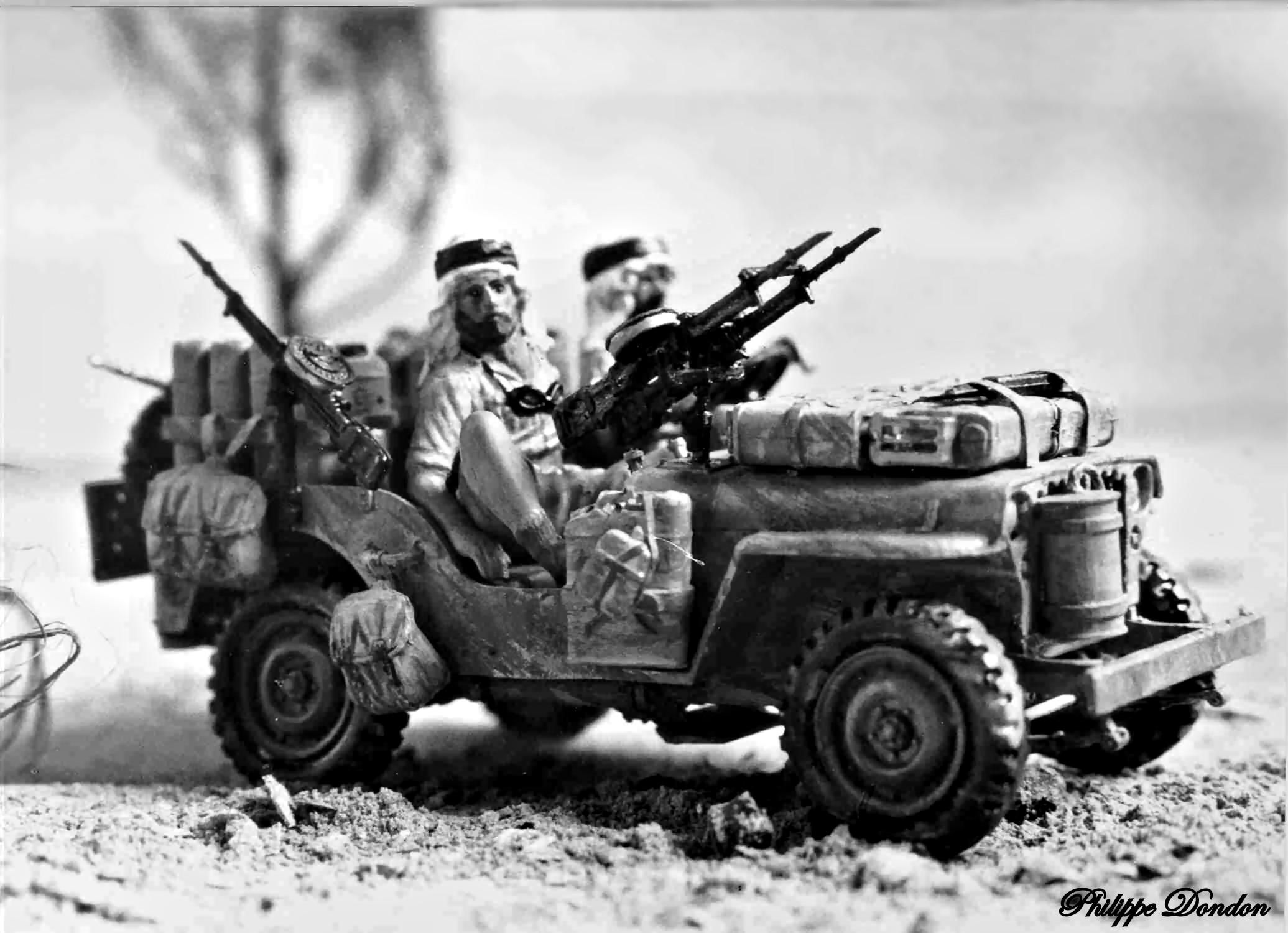 Maquette 1/35 Tamiya jeep SAS  désert British army