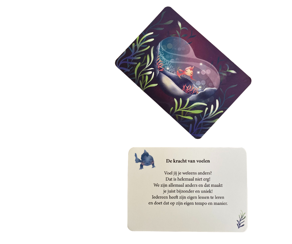 Thumbnail: Inspiratiekaartjes behorende bij "De geheimen van Aquarius"