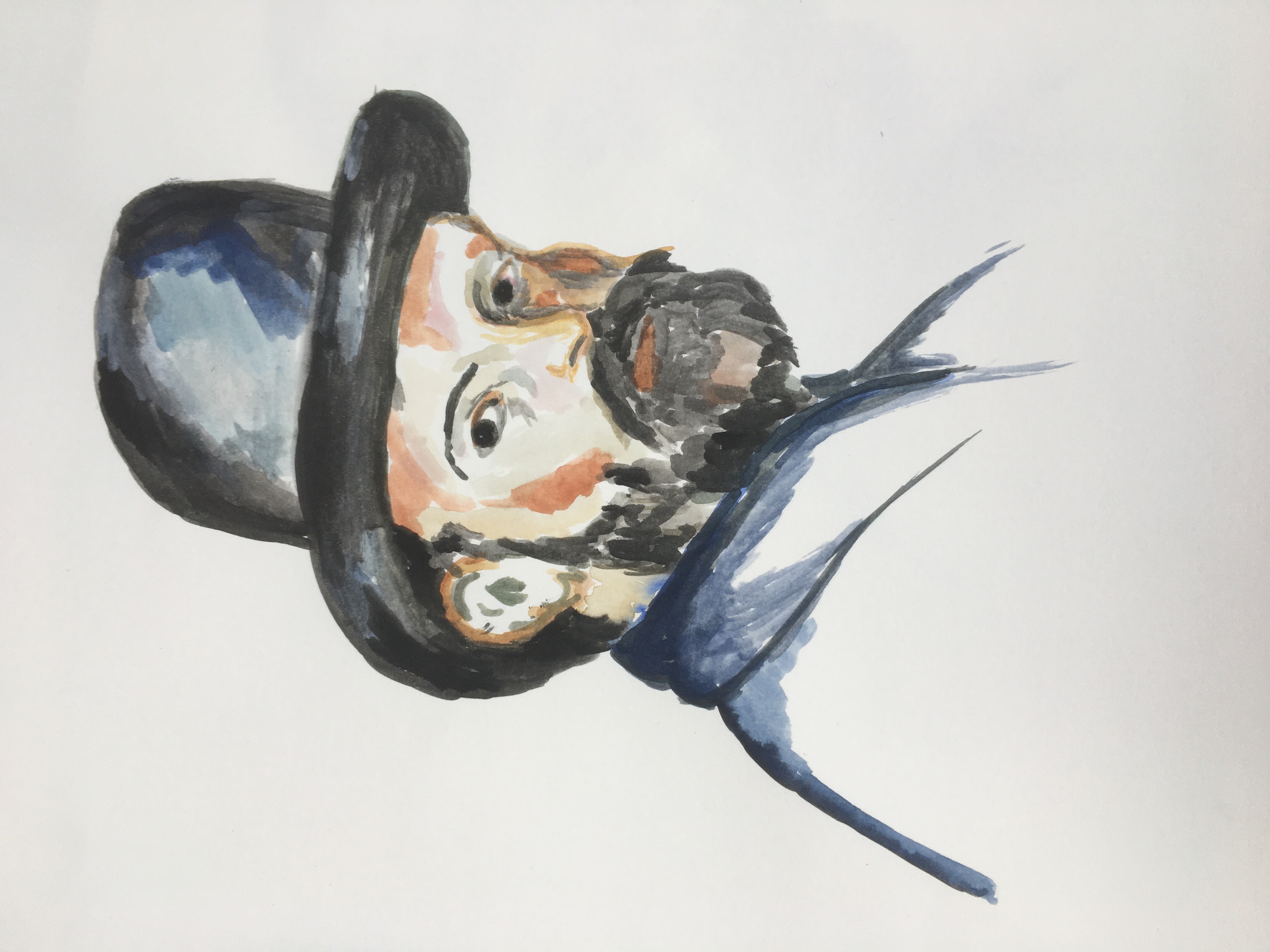 IMG_3135 - Kopya.JPG