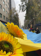image00014.jpeg